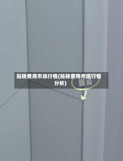 贴砖费用市场行情(贴砖费用市场行情分析)