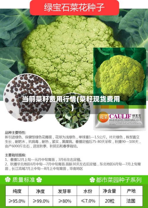 当前菜籽费用行情(菜籽现货费用)