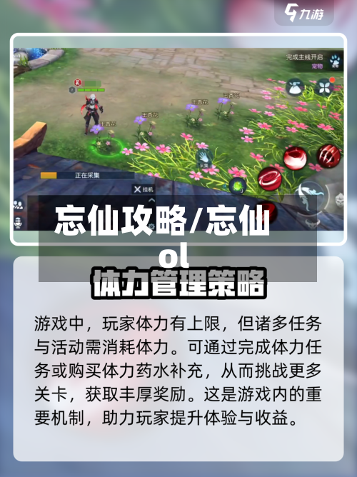 忘仙攻略/忘仙ol-第2张图片