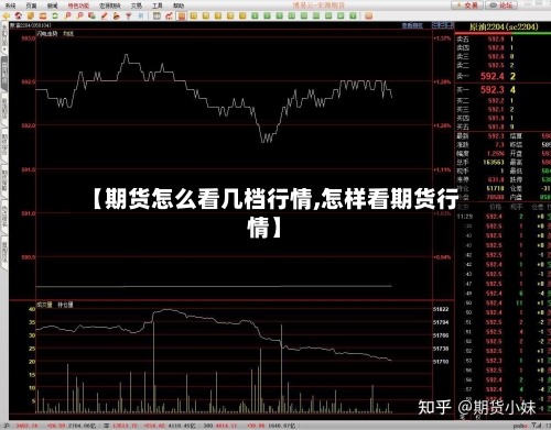 【期货怎么看几档行情,怎样看期货行情】-第3张图片