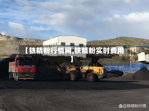 【铁精粉行情网,铁精粉实时费用】-第1张图片