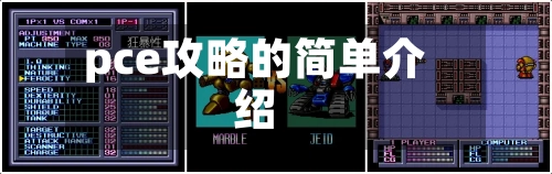 pce攻略的简单介绍