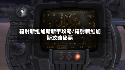 辐射新维加斯新手攻略/辐射新维加斯攻略秘籍