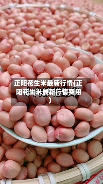 正阳花生米最新行情(正阳花生米最新行情费用)-第1张图片