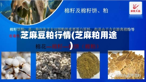 芝麻豆粕行情(芝麻粕用途)-第1张图片
