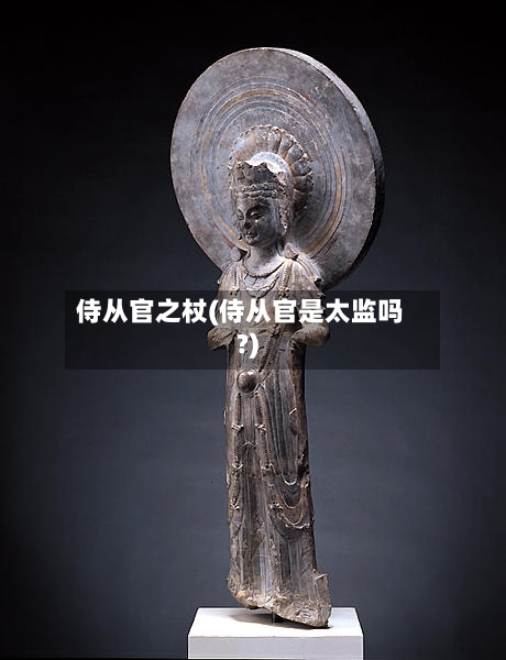 侍从官之杖(侍从官是太监吗?)-第2张图片