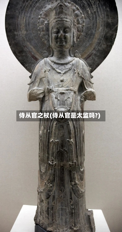 侍从官之杖(侍从官是太监吗?)