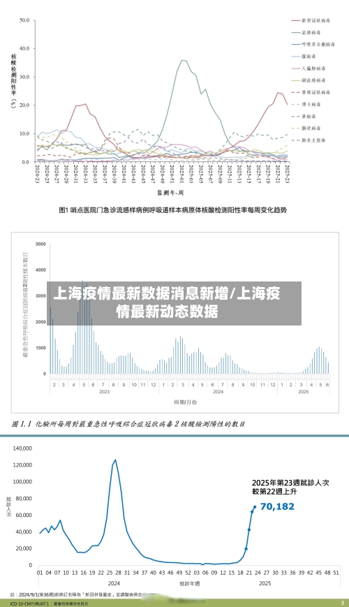 上海疫情最新数据消息新增/上海疫情最新动态数据