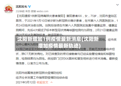 沈阳新增加1例疫情最新消息(沈阳新增加疫情最新轨迹)-第2张图片