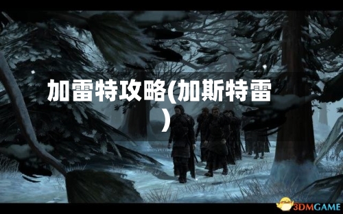 加雷特攻略(加斯特雷)