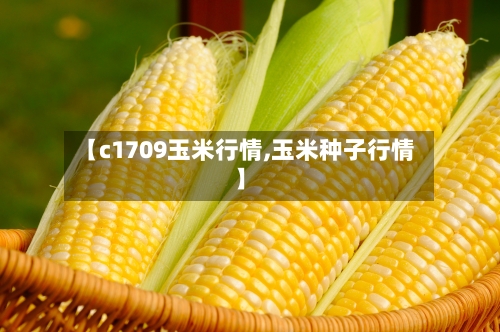 【c1709玉米行情,玉米种子行情】-第1张图片