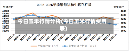 今日玉米行情分析(今日玉米行情费用表)