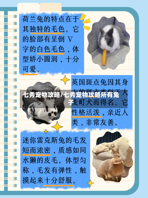 七秀宠物攻略/七秀宠物攻略所有兔子-第2张图片