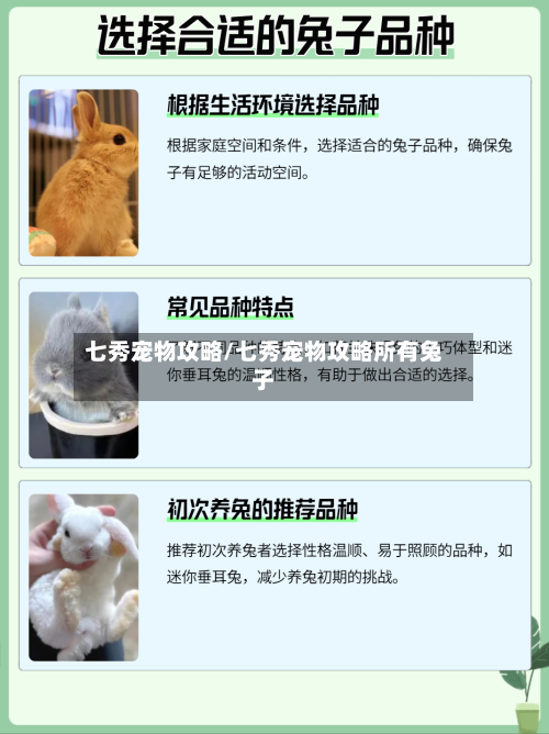 七秀宠物攻略/七秀宠物攻略所有兔子-第1张图片