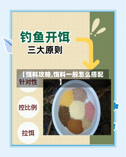 【饵料攻略,饵料一般怎么搭配】-第2张图片