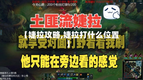 【婕拉攻略,婕拉打什么位置】-第3张图片