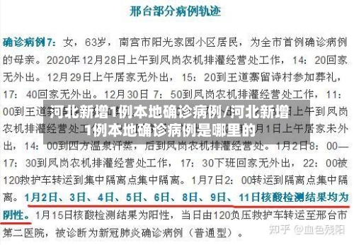河北新增1例本地确诊病例/河北新增1例本地确诊病例是哪里的