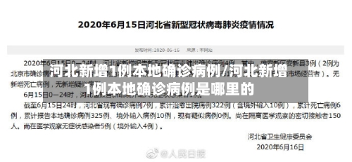 河北新增1例本地确诊病例/河北新增1例本地确诊病例是哪里的-第2张图片
