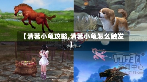 【清茗小龟攻略,清茗小龟怎么触发】
