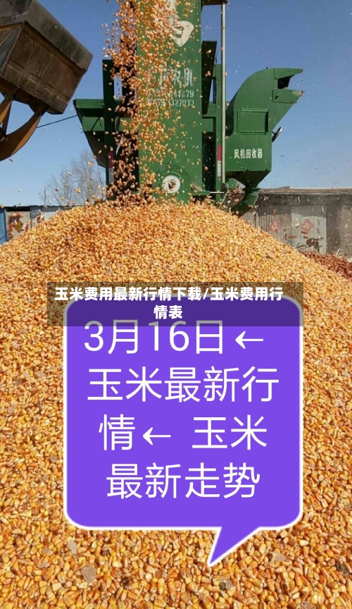 玉米费用最新行情下载/玉米费用行情表