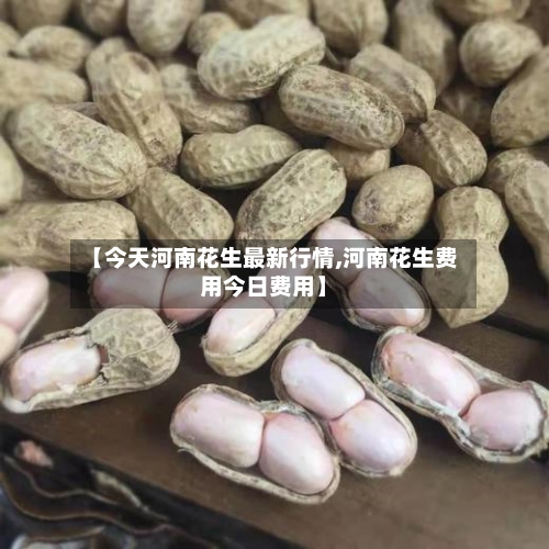 【今天河南花生最新行情,河南花生费用今日费用】-第1张图片