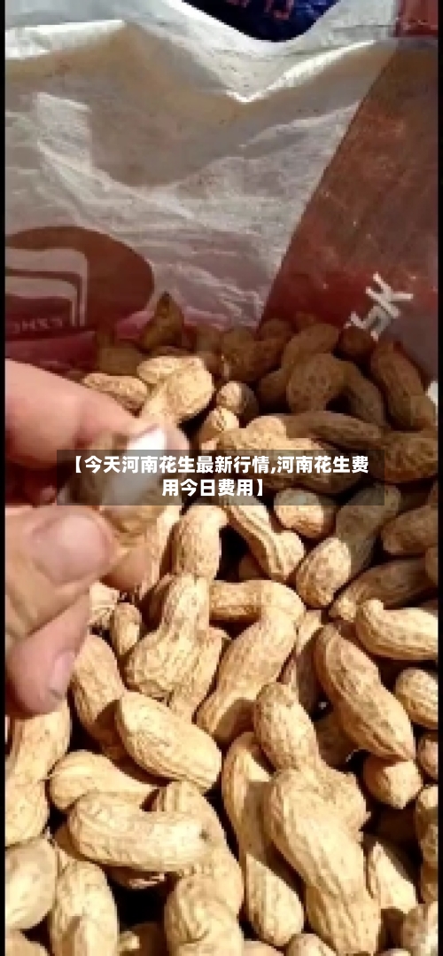 【今天河南花生最新行情,河南花生费用今日费用】-第2张图片