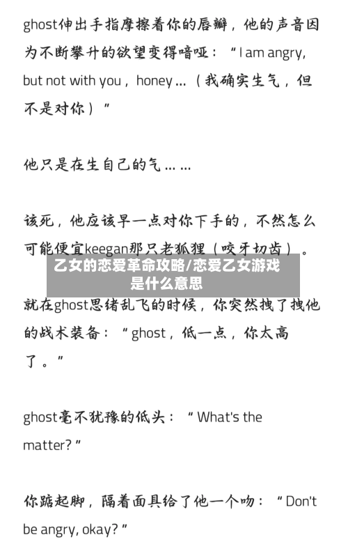 乙女的恋爱革命攻略/恋爱乙女游戏是什么意思