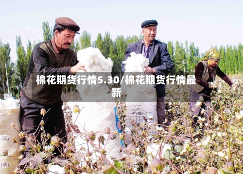 棉花期货行情5.30/棉花期货行情最新
