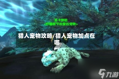 猎人宠物攻略/猎人宠物加点在哪