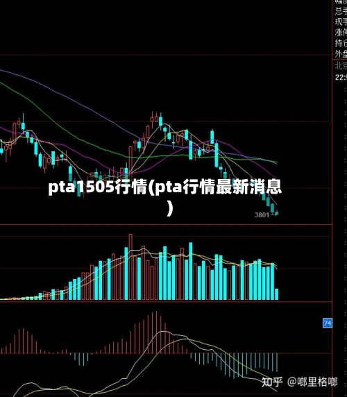 pta1505行情(pta行情最新消息)-第3张图片