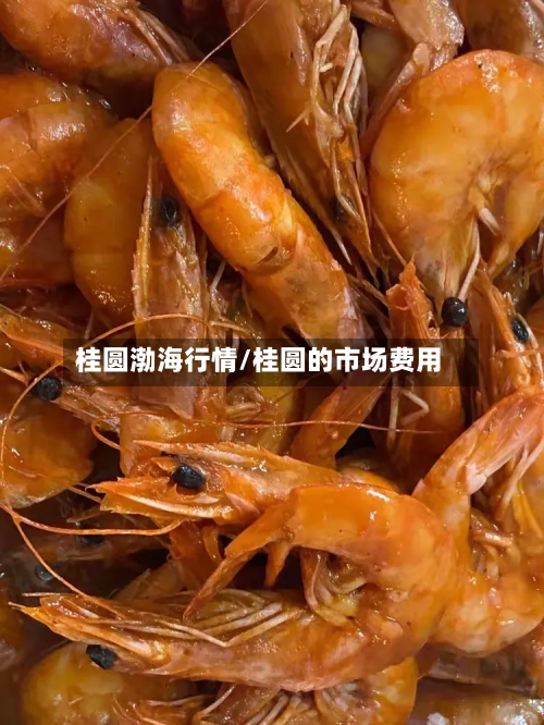 桂圆渤海行情/桂圆的市场费用-第1张图片