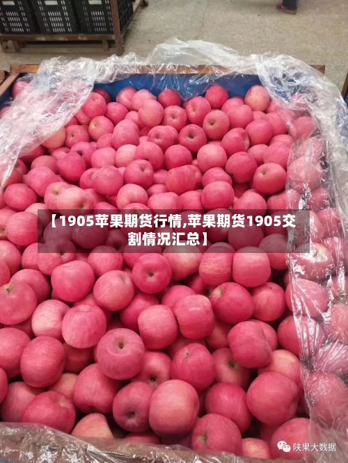 【1905苹果期货行情,苹果期货1905交割情况汇总】