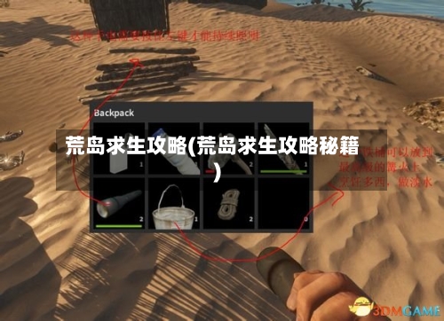 荒岛求生攻略(荒岛求生攻略秘籍)-第2张图片