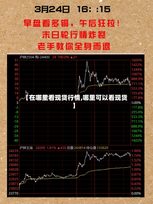 【在哪里看现货行情,哪里可以看现货】-第1张图片