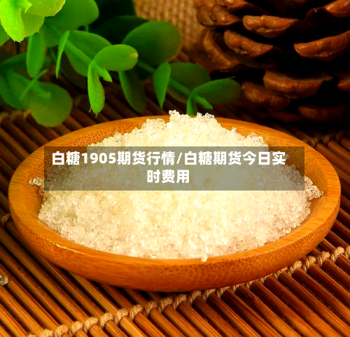 白糖1905期货行情/白糖期货今日实时费用-第1张图片