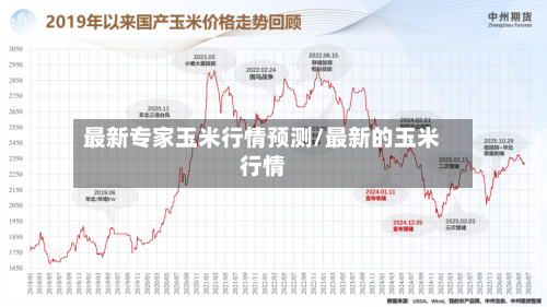 最新专家玉米行情预测/最新的玉米行情-第3张图片