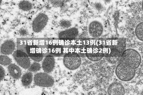31省新增16例确诊本土13例(31省新增确诊16例 其中本土确诊2例)-第2张图片