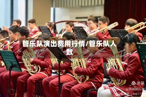 管乐队演出费用行情/管乐队人数-第3张图片