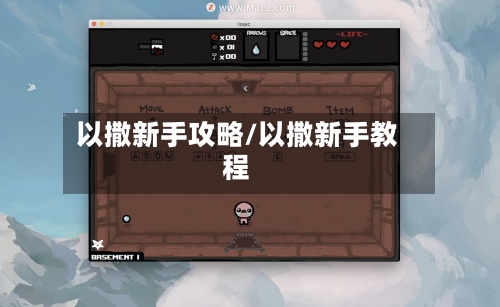 以撒新手攻略/以撒新手教程-第2张图片