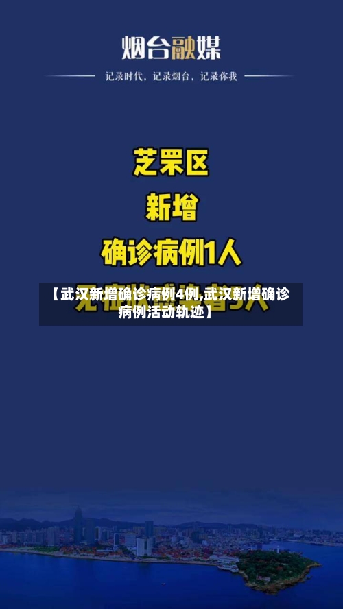 【武汉新增确诊病例4例,武汉新增确诊病例活动轨迹】-第2张图片