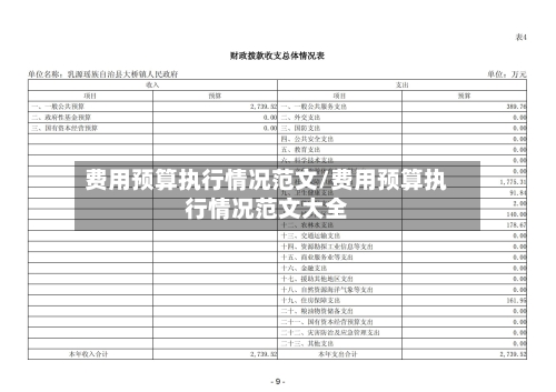 费用预算执行情况范文/费用预算执行情况范文大全