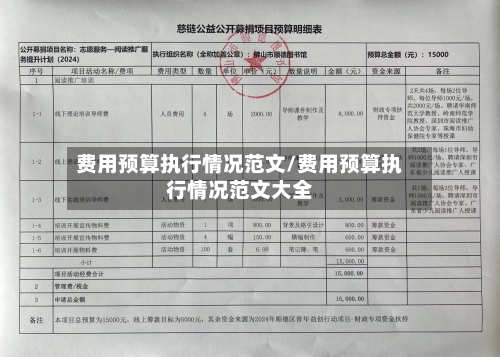 费用预算执行情况范文/费用预算执行情况范文大全-第2张图片