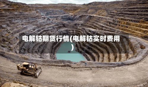 电解钴期货行情(电解钴实时费用)-第2张图片