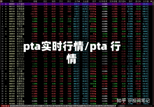 pta实时行情/pta 行情