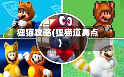 狸猫攻略(狸猫道具点)-第2张图片