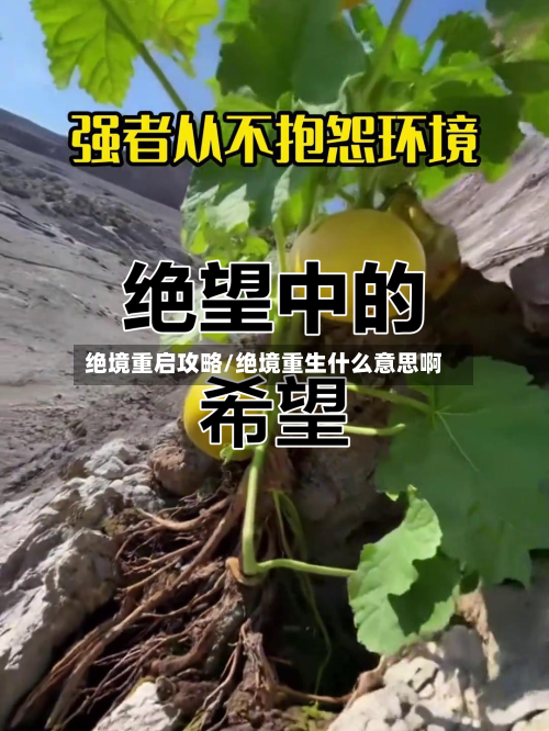 绝境重启攻略/绝境重生什么意思啊