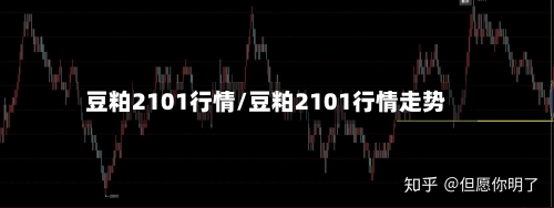 豆粕2101行情/豆粕2101行情走势-第2张图片