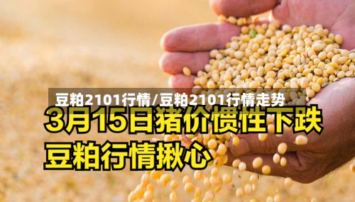 豆粕2101行情/豆粕2101行情走势-第3张图片