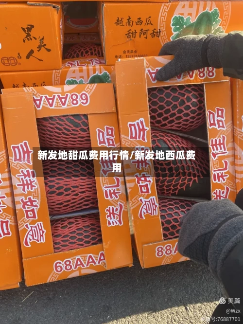 新发地甜瓜费用行情/新发地西瓜费用-第2张图片
