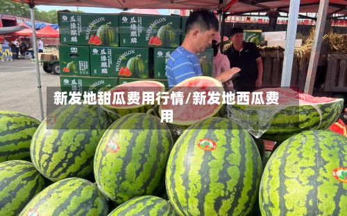 新发地甜瓜费用行情/新发地西瓜费用